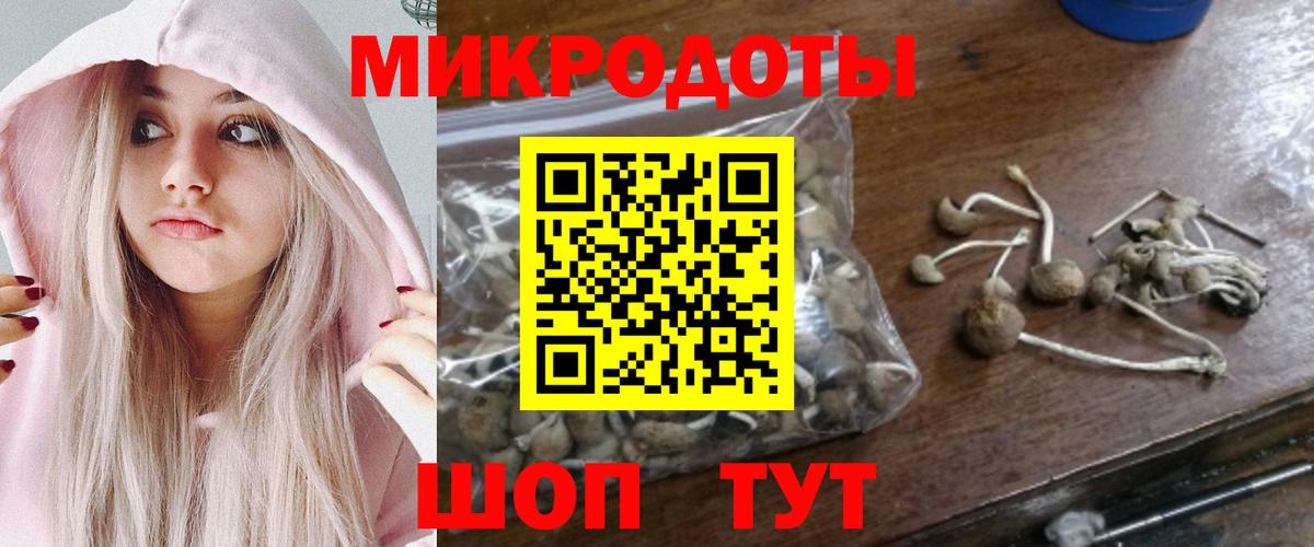 Псилоцибиновые грибы прущие грибы  Вход с VPN  Конаково 